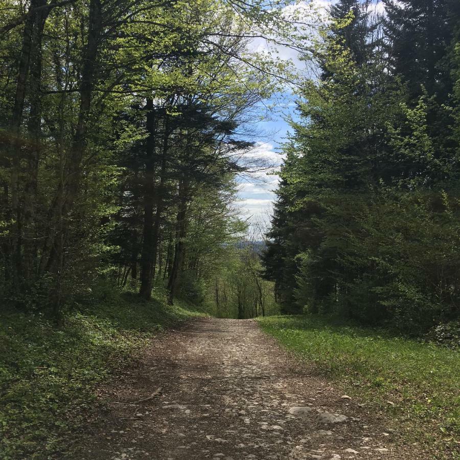 Gite La Janiat Montigny-sur-l'Ain エクステリア 写真